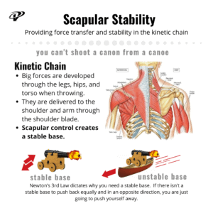Scapular control for stability
