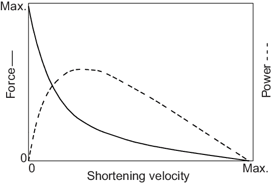 the force velocity curve
